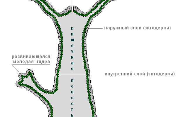 Кракен зеркало ссылка онлайн