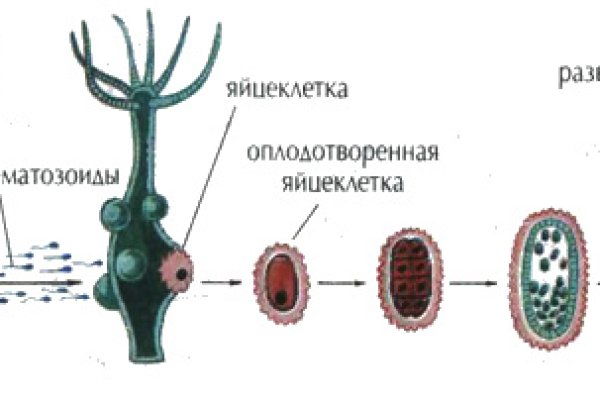 Каталог онион сайтов