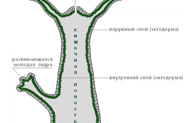 Как зайти в кракен с андроида