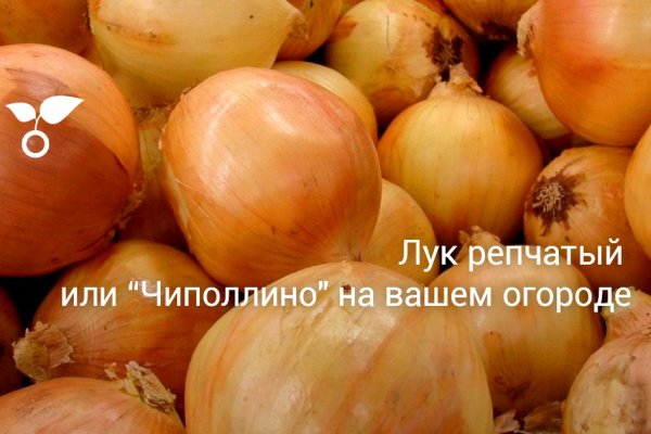 Вход в кракен