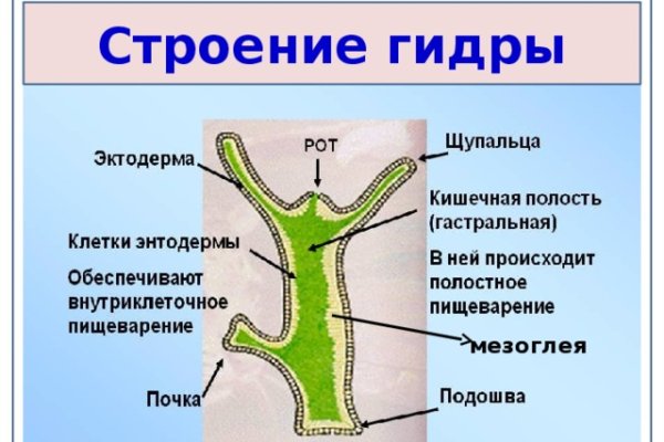 Кракен даркнет kraken014 com