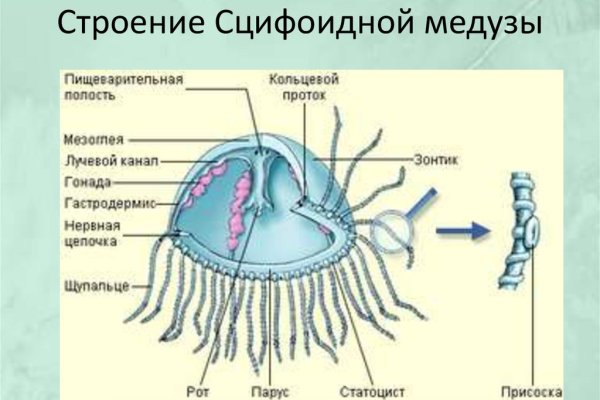 Кракен ссылка gigageek ru