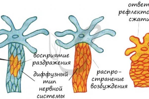 Kra39.cc