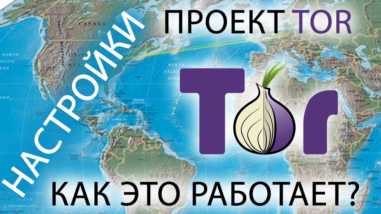 Почему не работает кракен